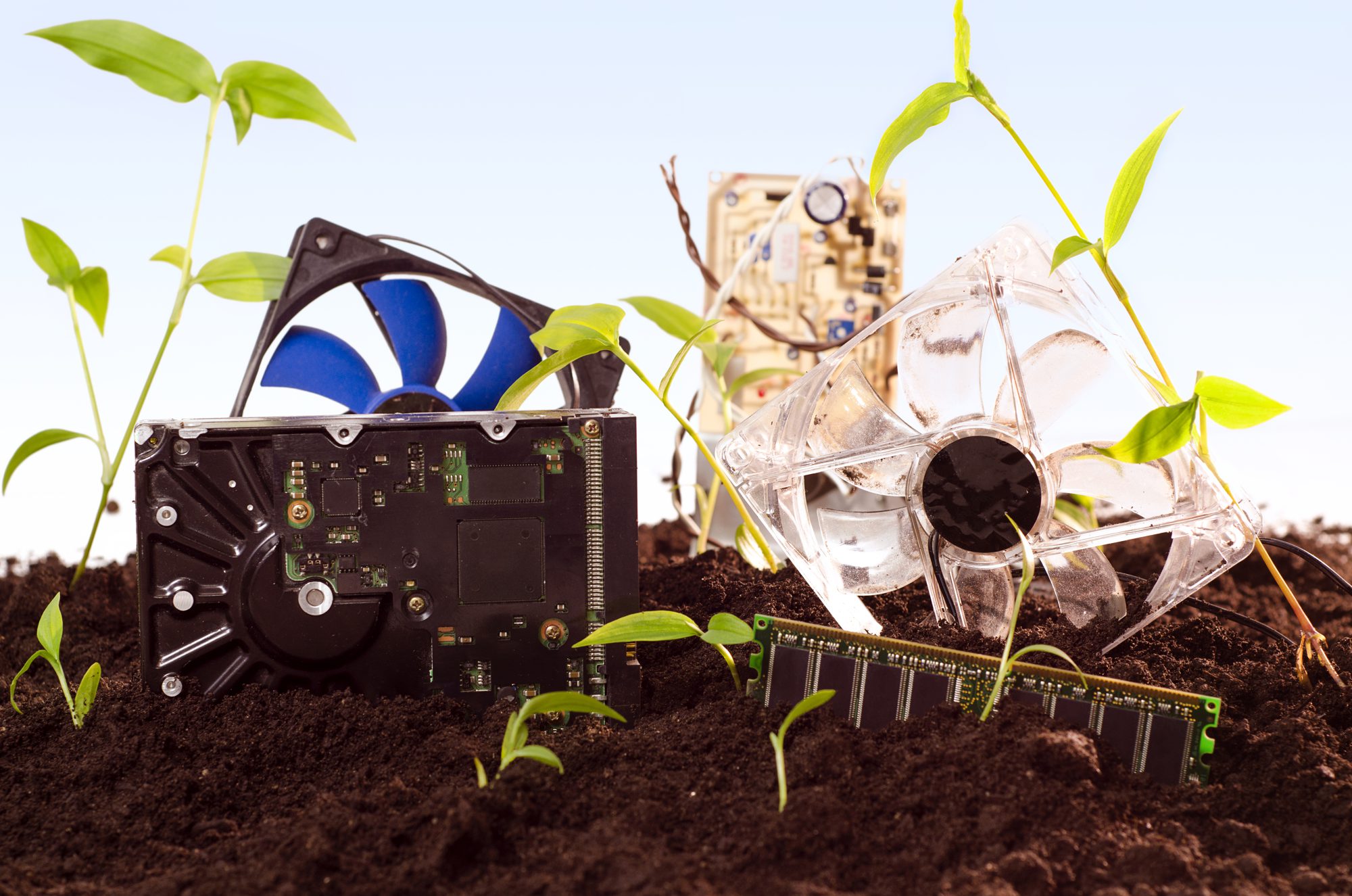 Salvaged hard drive, fans, memory and circuit boards with green seedlings growing through the soil